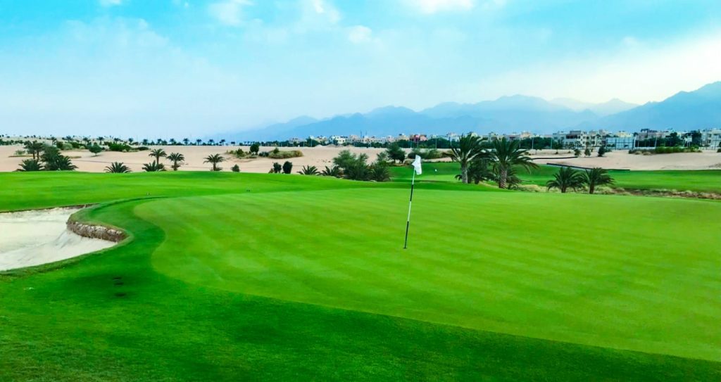Green turf on a clear day.